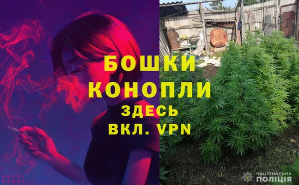 ECSTASY Алексеевка