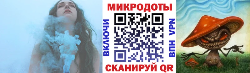Псилоцибиновые грибы Psilocybe  купить  сайты  Куса 