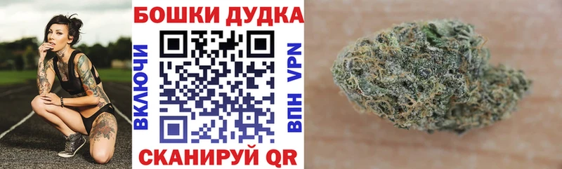 Бошки Шишки SATIVA & INDICA  ссылка на мегу как войти  Куса 